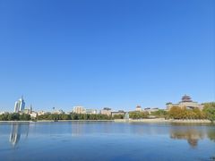 -莲花池公园