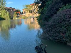 -常州武进九洲喜来登酒店