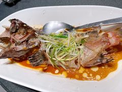 清蒸老虎斑-徐记海鲜(曲江南湖店)