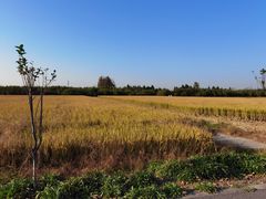 -嘉北郊野公园