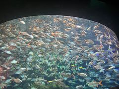 -成都浩海立方海洋公园