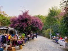 -Bamboo Saturday Market(Nana Jungle)