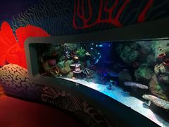 -沈阳海洋探索中心