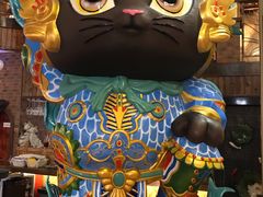 -more than meow吴止猫主题餐厅(承德 中船汇店)