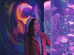 -顺德南宏海立方海洋公园
