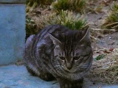 景点-元大都城垣遗址公园