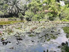 -海南热带野生动植物园