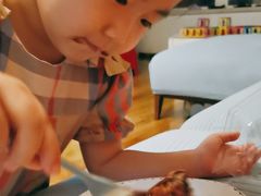 -洛佩塔蛋糕
