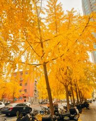 -TIME SPA科技美肤机构