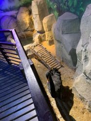 -酷嗒动物文化乐园(cutezoo西溪乐天城店)