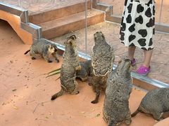 -南戴河国际娱乐中心