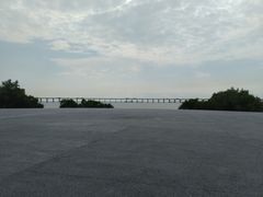 -宝安西湾红树林湿地公园