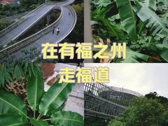 -福道
