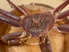 -蟹田居·活蟹料理(东城店)