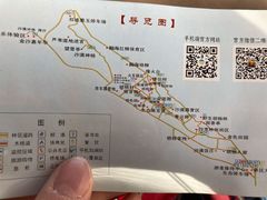 -金塔沙漠胡杨林景区