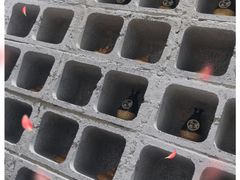 -苹果树下艺术餐厅(宋庄店)