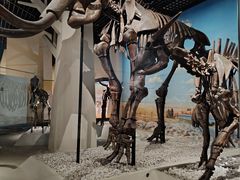 -国家自然博物馆