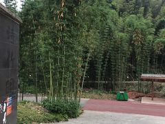 -漫山居私汤民宿全竹宴