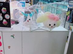 -鹏欣水游城
