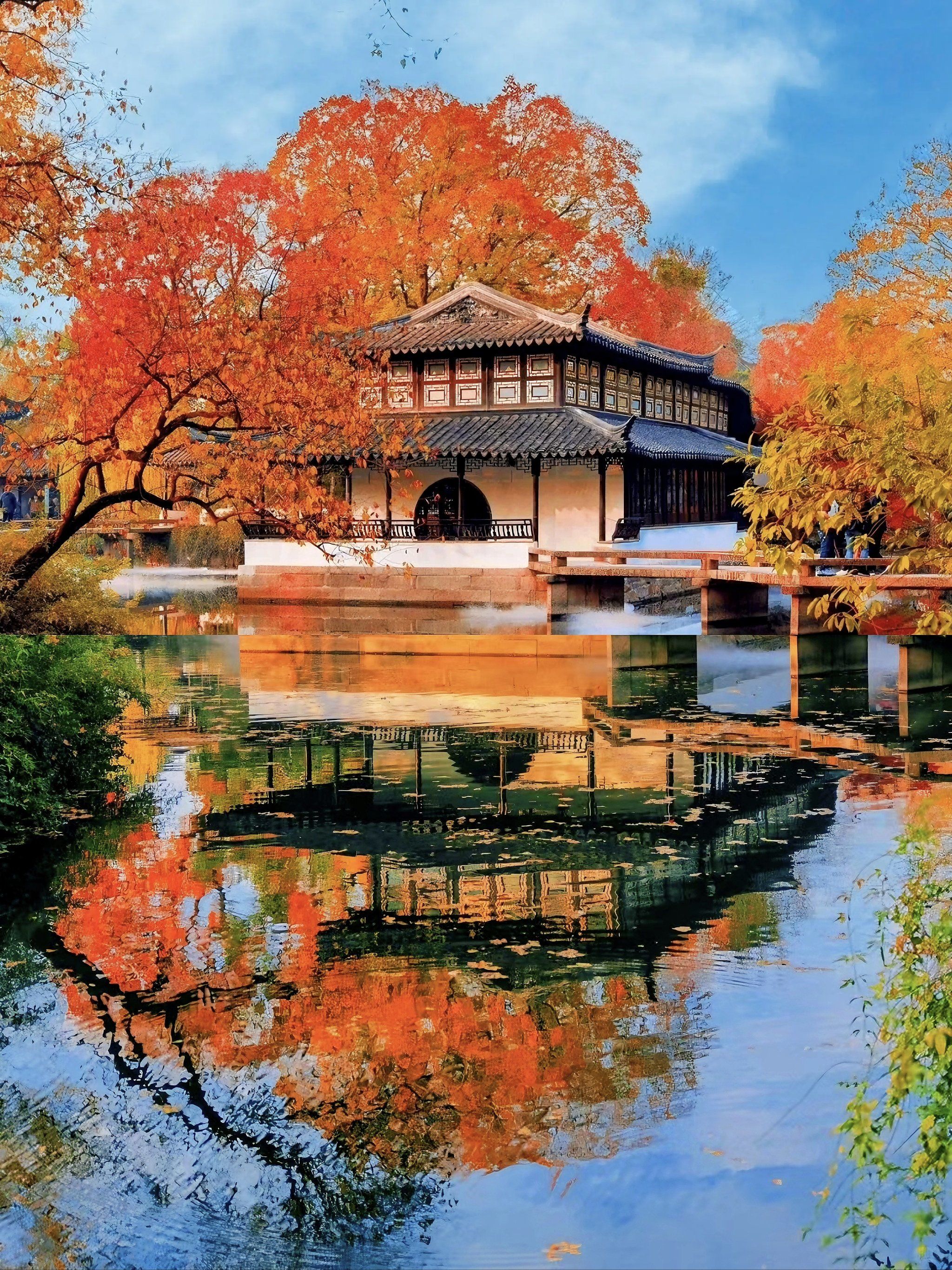 今年冬天去哪玩