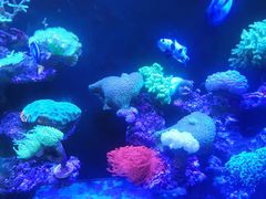 -海合安成都极地海洋公园