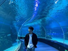 -合肥海洋世界