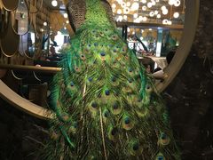 大堂-雀蓝川菜(奥体广场店)