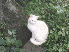 -崂山巨峰游览区