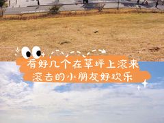 -小麦岛公园