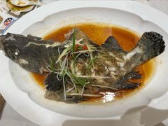 清蒸青石斑-北塘海鲜·天津菜(大光明桥旗舰店)