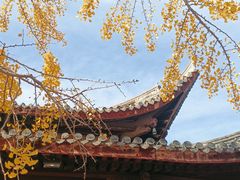 -龙华寺