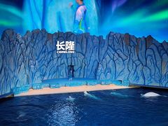 -珠海长隆海洋王国