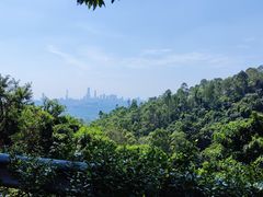 -火炉山森林公园