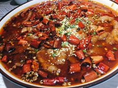 -雲蜀龙阁·金牌水煮鱼(方庄店)