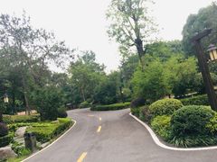 -天目湖涵田半山温泉