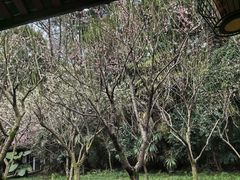 -成都杜甫草堂博物馆