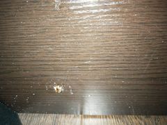 -桔子酒店(上海西藏北路地铁站店)