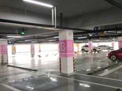 -上海海昌海洋公园-停车场