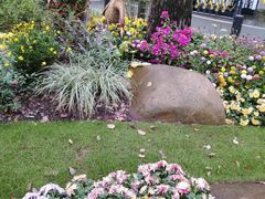 -上海共青森林公园