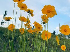 -渭河城市绿地运动公园