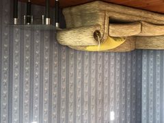 -金山农民画村-枫泾波兰倒置屋
