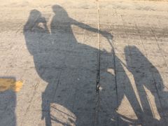 -丫丫蟹庄·苏式园林农家乐·阳澄湖大闸蟹(阳澄湖莲花岛店)