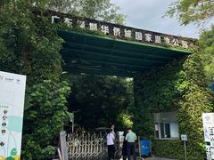 -华侨城湿地公园