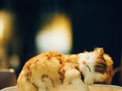 -咖法森林·咖啡  酒吧(天河店)