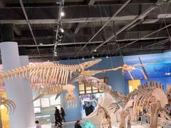 -国家自然博物馆