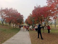 -白鹭湾湿地公园