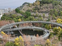 -福道