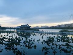 -松山湖南湖湾露营营地