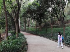 -南岗山公园