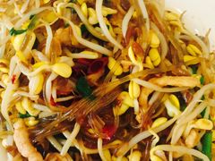 炒豆芽-大地春饼店(黄河路店)